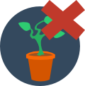 storage for plants